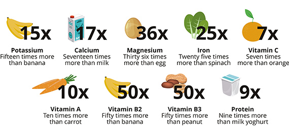 nutritional-value-infographic